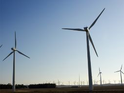 La torre estará ubicada en la zona de la laguna de San Ignacio  /