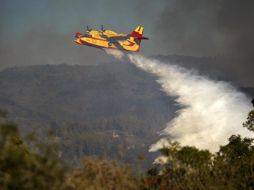 El fuego habría causado la muerte de 42 personas, la destrucción de 250 viviendas y 50 kilómetros cuadrados de bosque. REUTERS  /
