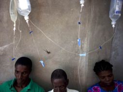 La epidemia de cólera que ha provocado más de dos mil muertos en Haití entró en el país por los cascos azules nepalíes de la ONU. AP  /