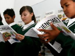 Las habilidades que se califican son para estudiantes de 15 años en lectura, matemáticas y ciencia. A. GARCÍA  /