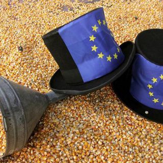 Recolectan un millón de firmas contra el cultivo de transgénicos