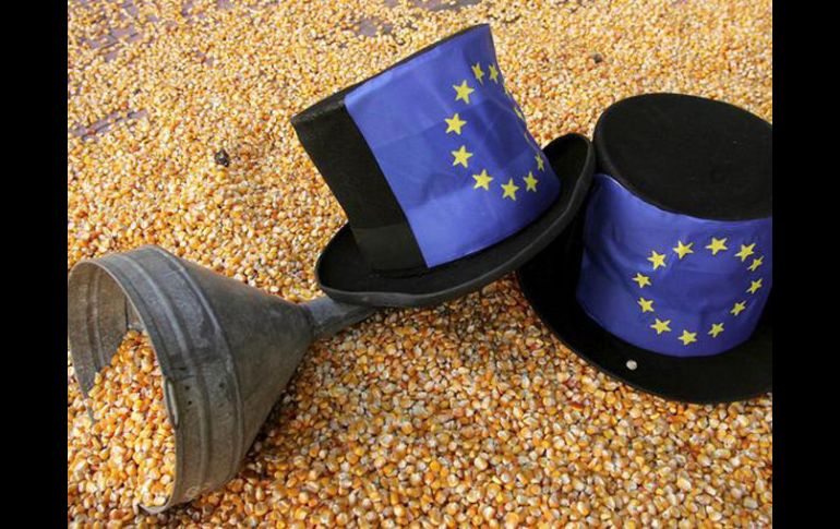 La petición  ha sido firmada a través de internet por ciudadanos de los 27 países europeos. EFE  /