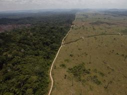 Zona deforestada (der.) en Brasil. Un un acuerdo legalmente vinculante para combatir el cambio climático no se alcanzó en Cancún. AP  /
