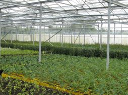 Herrera Ruiz explicó que este sistema surgió de la inquietud de acercar la tecnología al campo. ID  /