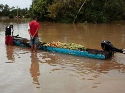 Residentes se preparan para trasladar bananas en El Llano, Panamá. AP  /