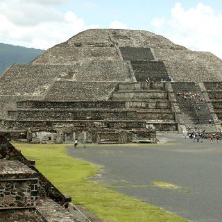 Teotihuacanos practicaron cruza de lobo y perro