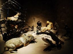 La civilización practicó la crianza del ''loberro''. EFE  /