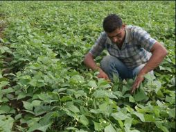 En la actualidad se consume un 50 por ciento más de lo que la Tierra es capaz producir. AFP  /