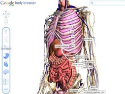 Para poder utilizar este nuevo buscador no es necesario instalar ningún plug-in en el navegador. ESPECIAL  /