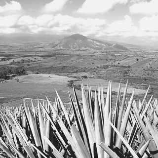 Apuntes de mi libreta