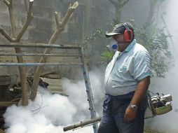 Camiones recolectores, diputados locales y regidores priistas eliminarán basura que sirva para reproducción del mosquito. ARCHIVO  /