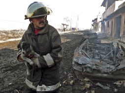 Un bombero carga a un perro en la zona de la explosión. AP  /