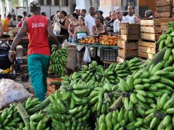 El Gobierno de Cuba permitió que residentes operaran sus propios negocios desde le mes de agosto. ESPECIAL  /