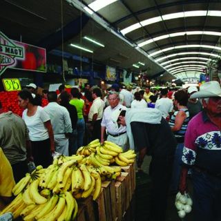 Mercados municipales deben reinventarse: UCMA