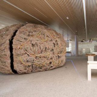 Instalarán en NY cerebro idéntico a Museo de la Evolución Humana