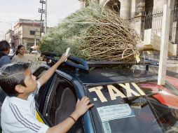 La campaña de reciclaje tiene la intención de aprovechar los sujetos forestales para la generación de composta. A. GARCÍA  /