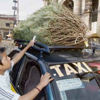 Invitan a reciclar árboles navideños