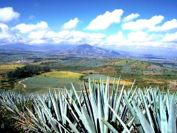 Ubicado a tan sólo 45 minutos de la ciudad de Guadalajara. ESPECIAL  /