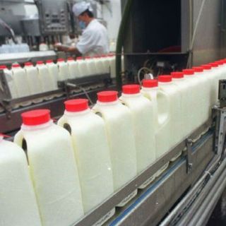 Aumenta en 2010 producción lechera en Comarca Lagunera