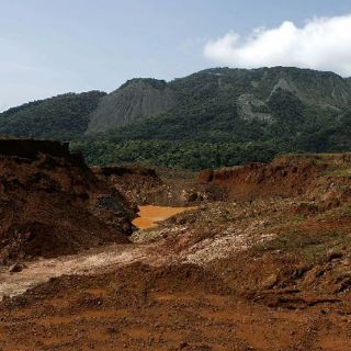 Noruega donará millones de dólares a México para combate a deforestación