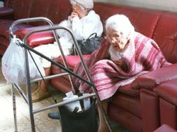 Especialistas piden a las autoridades aumentar el número de asilos en la Entidad. ARCHIVO  /