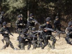 La Sedena desconfia del Ejército en su lucha contra el narcotráfico, de acuerdo con un cable diplomático estadounidense. REUTERS  /