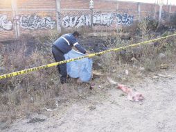 En el caso del homicidio de Tlajomulco, acudieron paramédicos municipales, quienes corroboraron el deceso del individuo. M. PATIÑO  /