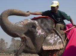 Todas las candidatas fueron valoradas de acuerdo a su inteligencia y apariencia, siendo Flor la reina de la belleza. EFE  /