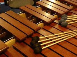 El proyecto se ha preocupado por la dotación del instrumento a las comunidades donde participa.ESPECIAL  /