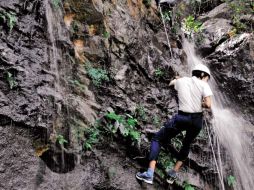 Si te gusta el rappel, puedes realizarlo en la cascada de Aguacatillo.EL INFORMADOR  /