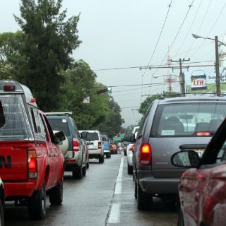 Comienza venta de hologramas de verificación 2011