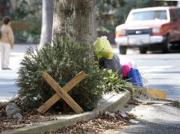 Se pretende evitar que los árboles vayan directamente a los tiraderos de basura. ARCHIVO  /