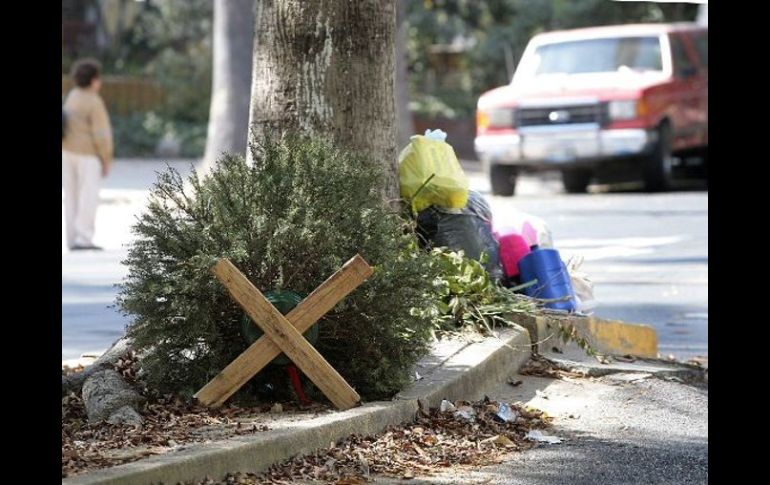 Se pretende evitar que los árboles vayan directamente a los tiraderos de basura. ARCHIVO  /