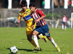 Chivas sub 15 venció a Tigres. MEXSPORT  /