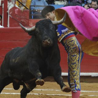 Los toros de la décima corrida promedian media tonelada