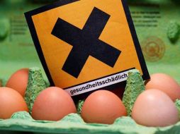 Expertos países de la UE, analizarán los días 11 y 12 los últimos datos sobre este problema. EFE  /