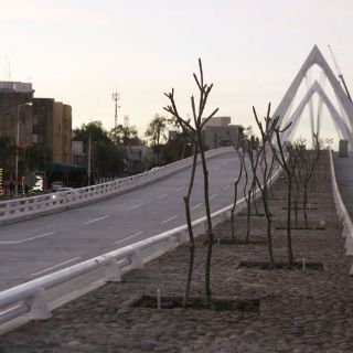 Abrirán puente Atirantado el 31 de enero