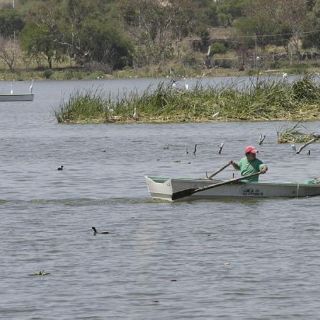 Pescadores de Cajititlán pierden 12 MDP por veto al presupuesto
