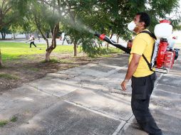 Gobierno del Estado, ayuntamientos y otras instancias participaron en las acciones para combatir al mosquito del dengue. ARCHIVO  /