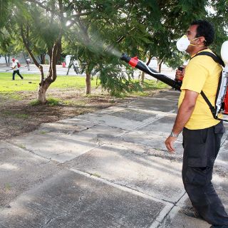 Baja Jalisco de tercero a décimo lugar en casos de dengue