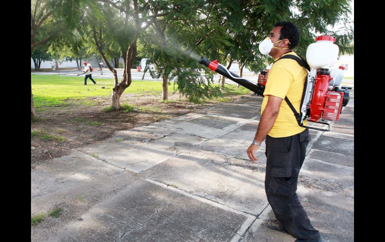 Gobierno del Estado, ayuntamientos y otras instancias participaron en las acciones para combatir al mosquito del dengue. ARCHIVO  /