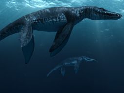 La cinta esvela el extraordinario mundo submarino prehistórico. ESPECIAL  /