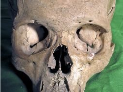 El cráneo ha sido recuperado en Sevilla después de más de ochenta años perdido desde que desapareció en 1929. EFE  /