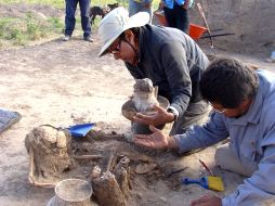 Es responsable de 29 mil zonas arqueológicas registradas en todo el país. EL UNIVERSAL  /