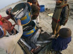 En cualquier caso, anunció que ya ordenó el cierre preventivo de una de las minas de la región. REUTERS  /