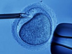 Las paciente fueron tratadas por un 'médico payaso'. REUTERS  /