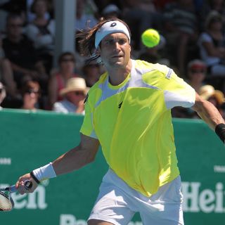 David Ferrer jugará la final ante Nalbandian