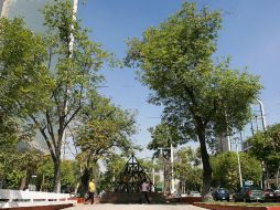 Este sábado, en Avenida Chapultepec, entre Vallarta y La Paz una buena opción para fin de semana. A.CAMACHO  /