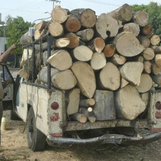 Insiste IP en reformas para crecer a tasas elevadas