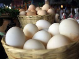 Tepatitlán y San Juan de los Lagos son los municipios que concentran la mayor parte de la producción de huevo en Jalisco. A. HINOJOSA  /